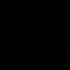 Meet your Posher, Davin